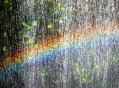 arcobaleno 34 lista